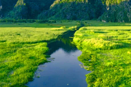 VAN LONG NATURE RESERVE – KENH GA FLOATING VILLAGE 1 DAY TOUR