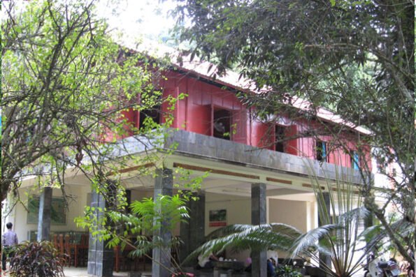 Cuc Phuong Guest house