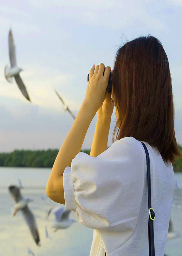 Hanoi - Xuan Thuy National Park bird watching day tour